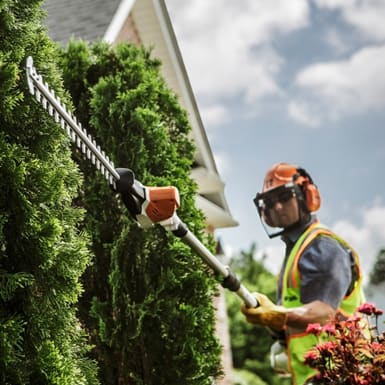 service-hedgecutting-kilmacoo-tree-surgery