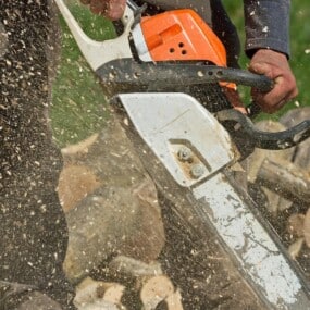 stump-removal-kilmacoo-tree-surgeons