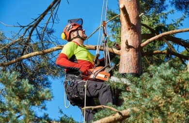 tree-surgery-service-kilmacoo-tree-surgeons